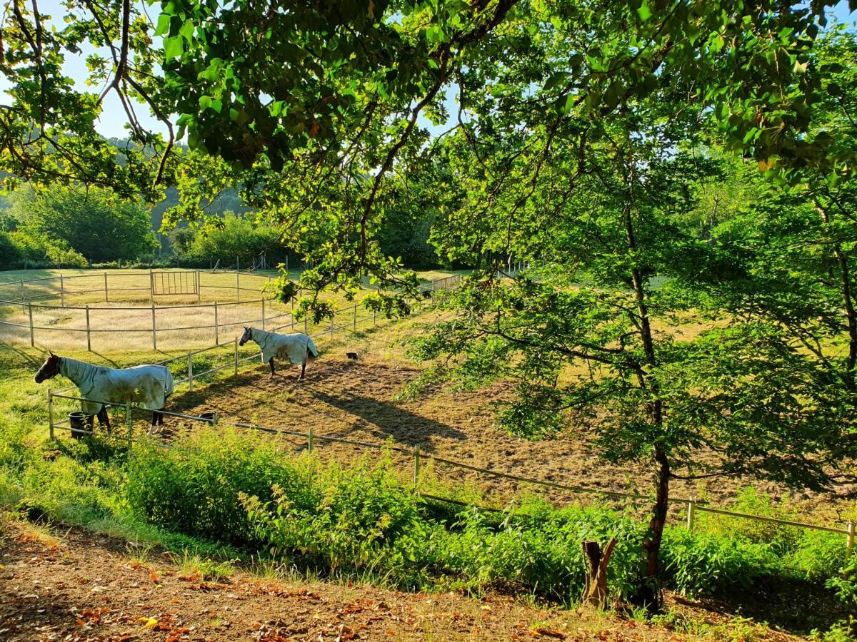 Ferme Equestre & Chambres D'Hotes Gateau Stables Proche Guedelon Saint-Amand-en-Puisaye Zewnętrze zdjęcie