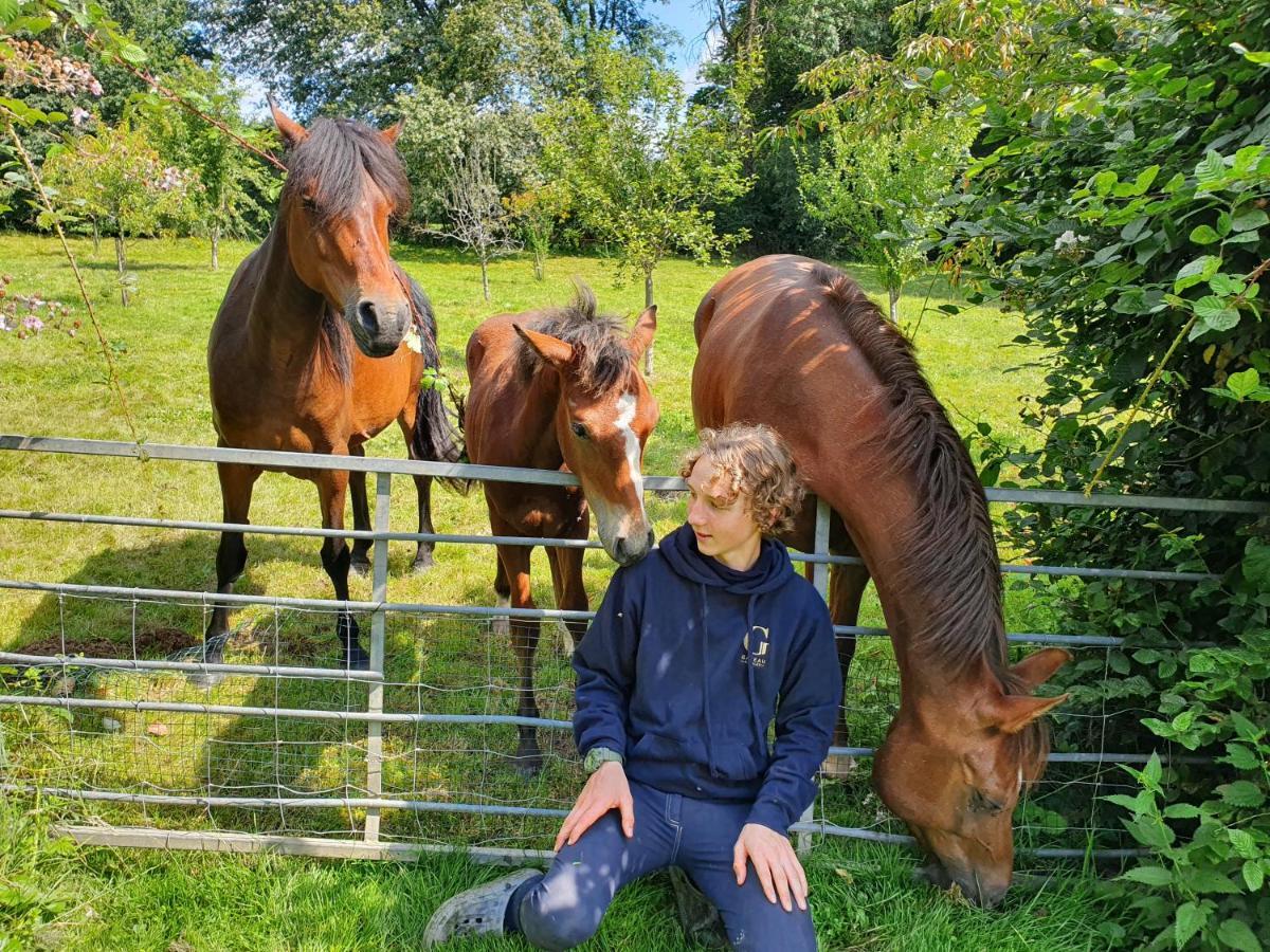 Ferme Equestre & Chambres D'Hotes Gateau Stables Proche Guedelon Saint-Amand-en-Puisaye Zewnętrze zdjęcie