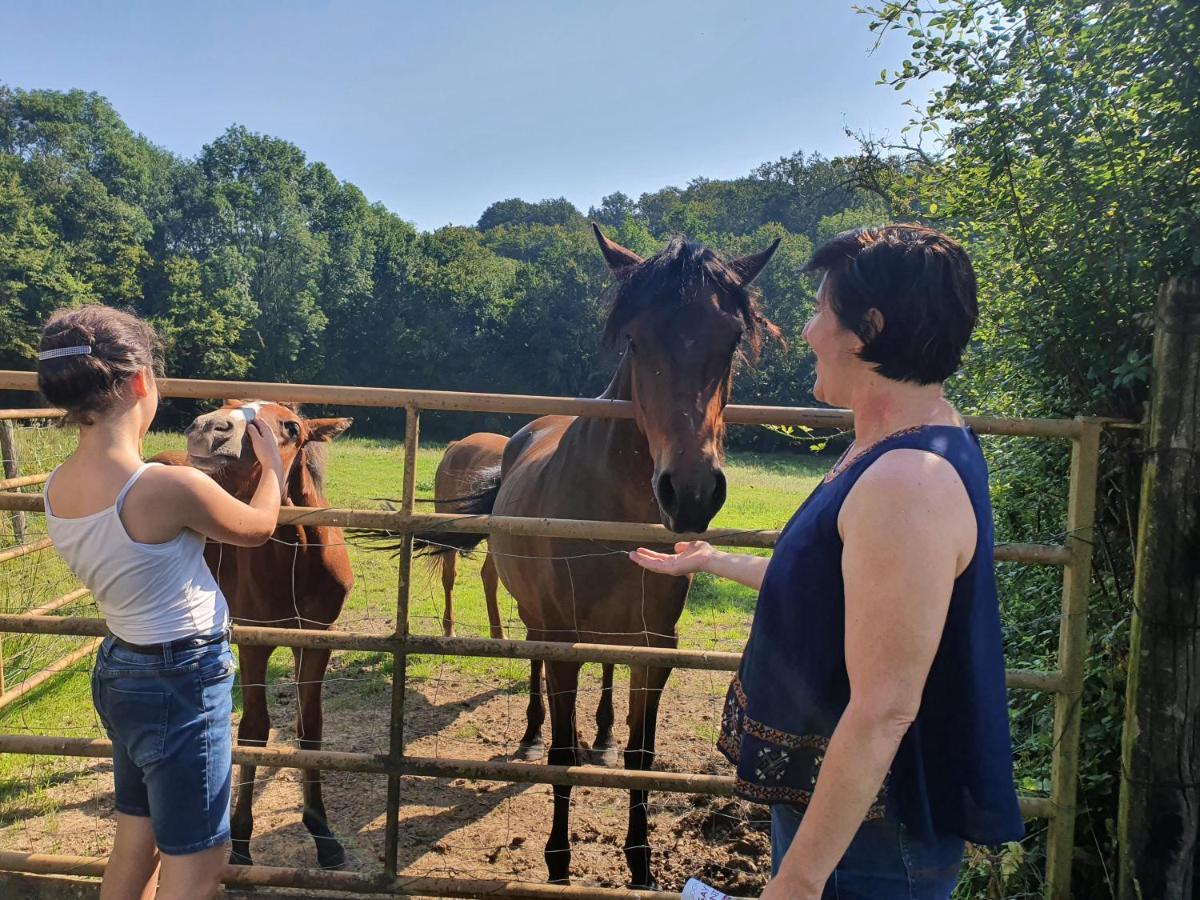 Ferme Equestre & Chambres D'Hotes Gateau Stables Proche Guedelon Saint-Amand-en-Puisaye Zewnętrze zdjęcie