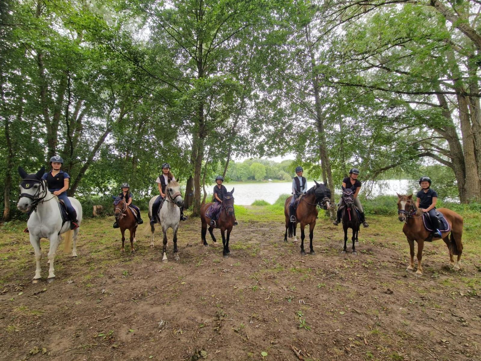 Ferme Equestre & Chambres D'Hotes Gateau Stables Proche Guedelon Saint-Amand-en-Puisaye Zewnętrze zdjęcie