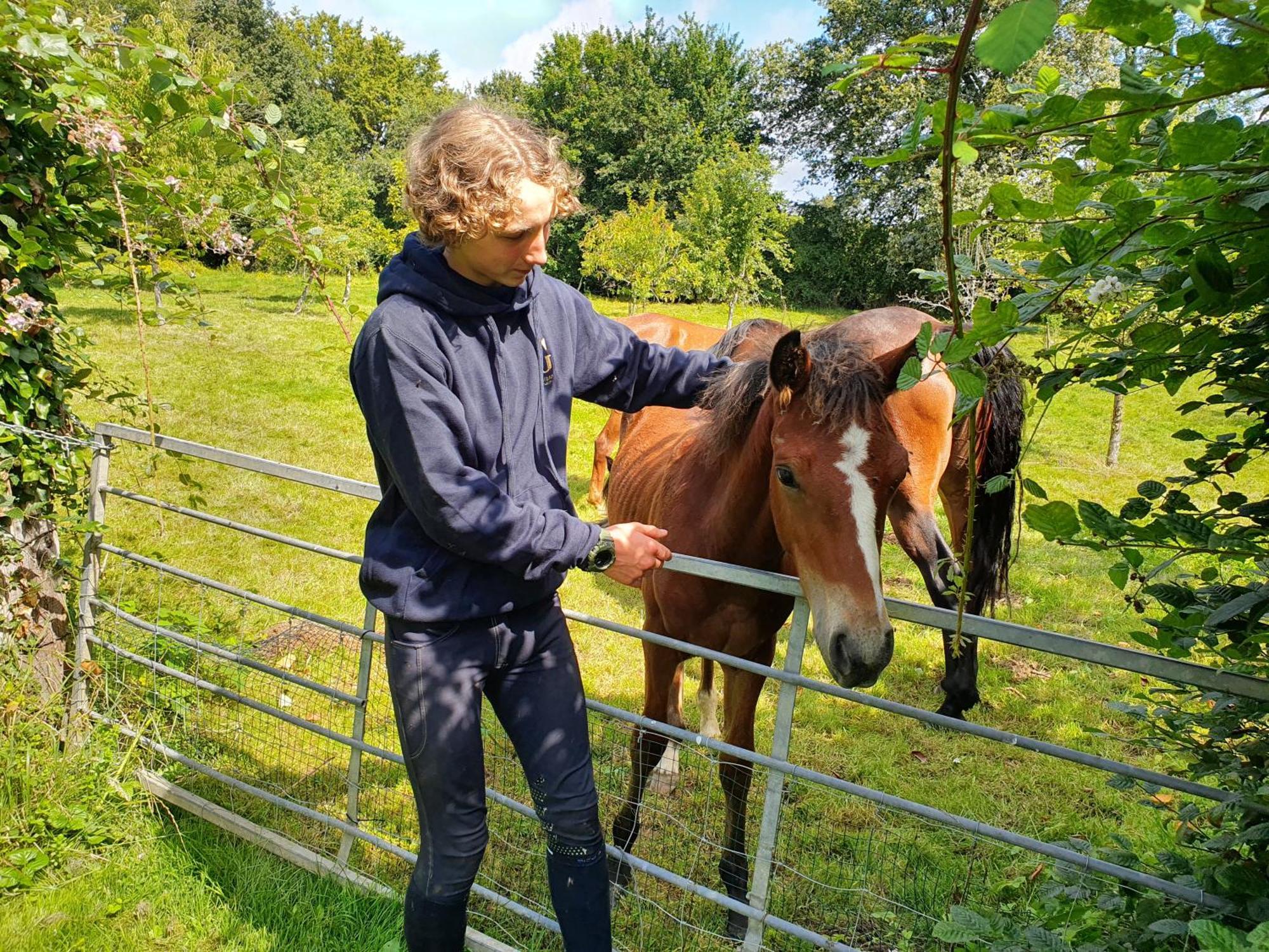 Ferme Equestre & Chambres D'Hotes Gateau Stables Proche Guedelon Saint-Amand-en-Puisaye Zewnętrze zdjęcie