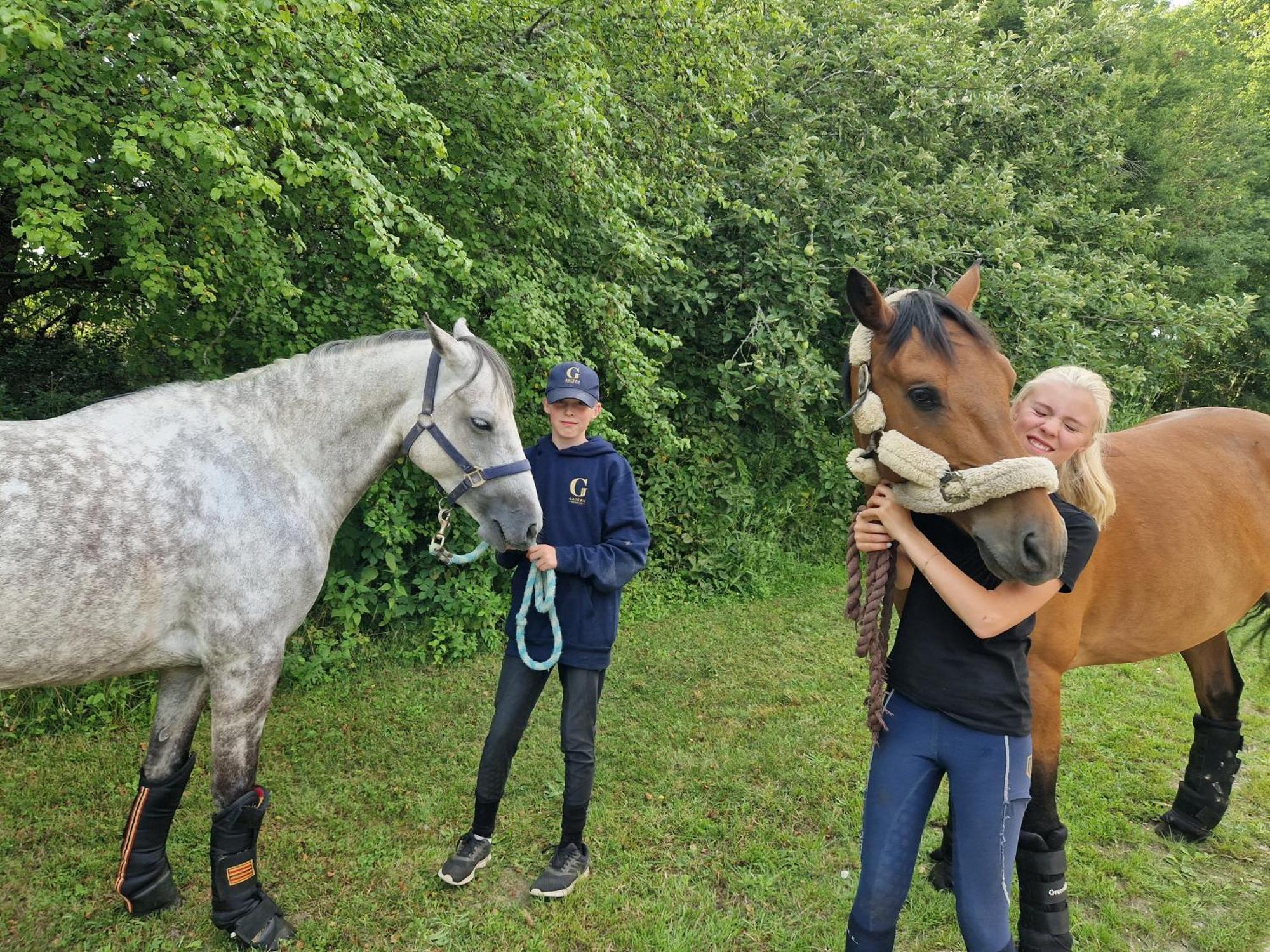 Ferme Equestre & Chambres D'Hotes Gateau Stables Proche Guedelon Saint-Amand-en-Puisaye Zewnętrze zdjęcie